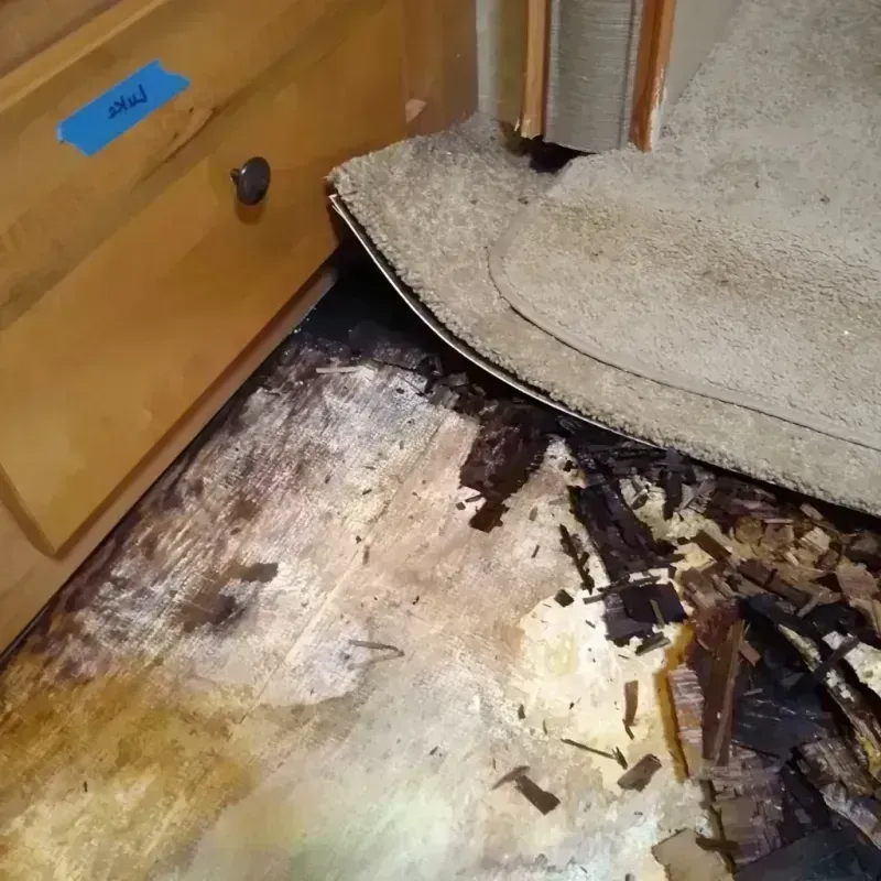 Wood Floor Water Damage in Columbia, PA